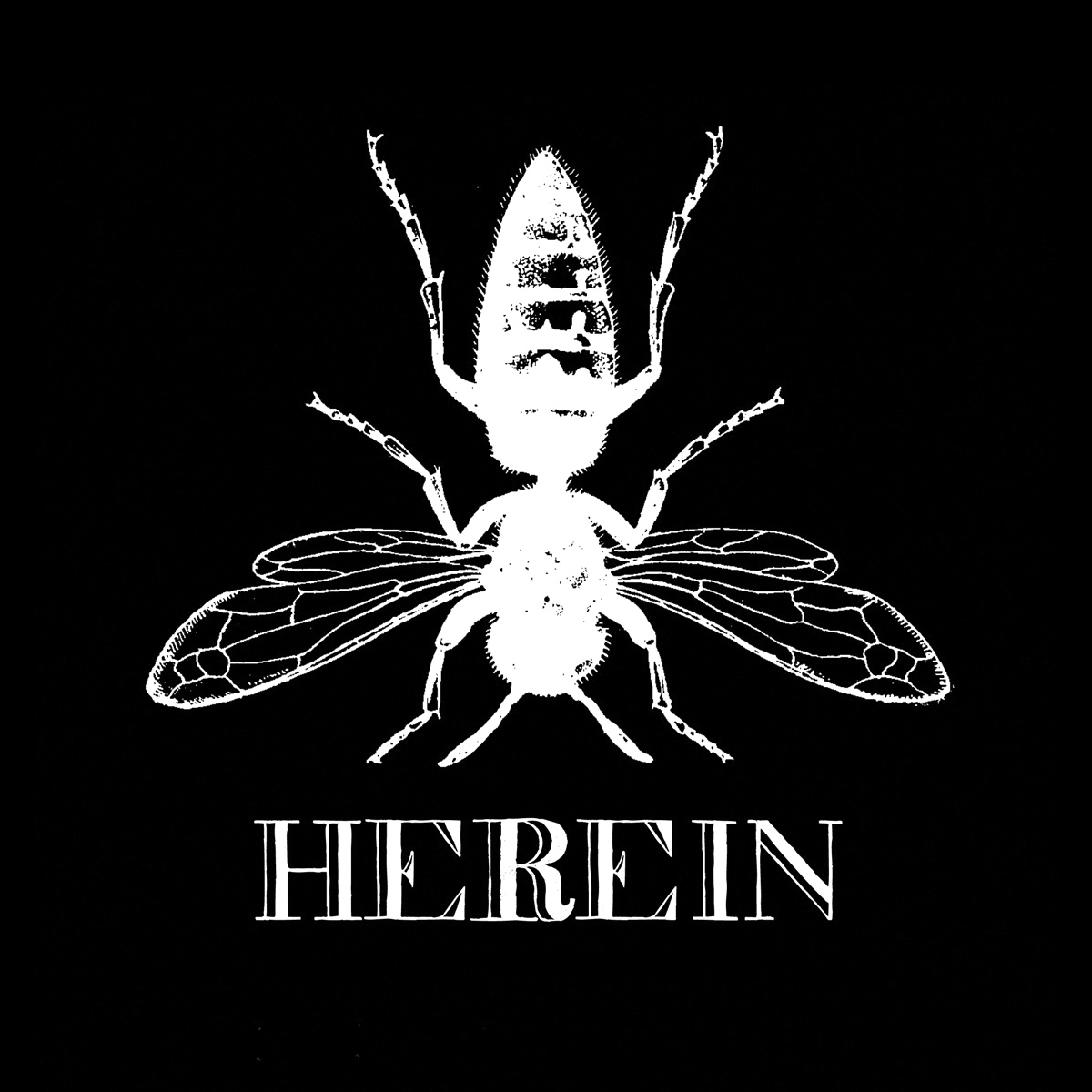 HERE[IN] Logo 2011