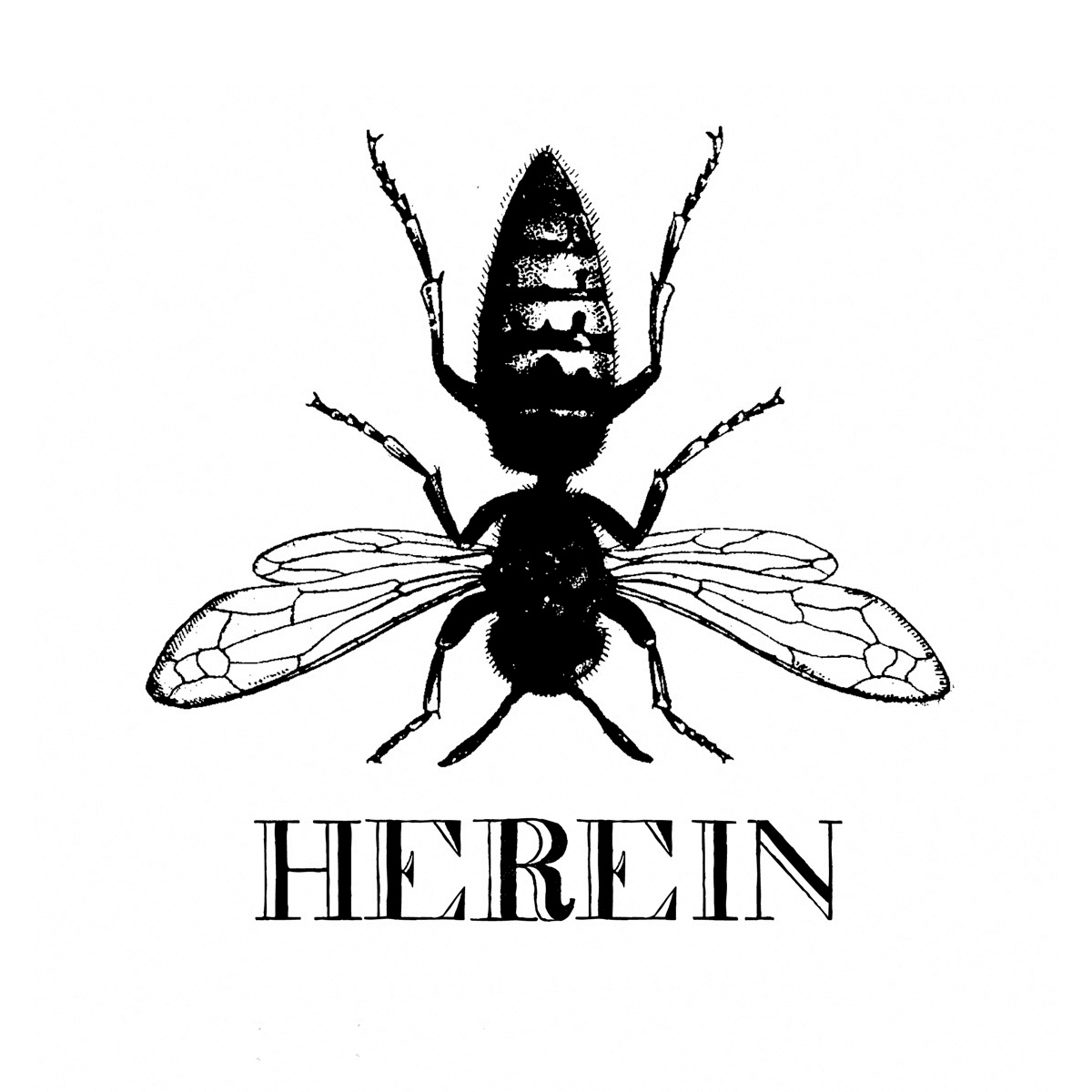 HERE[IN] Logo 2011 fond blanc